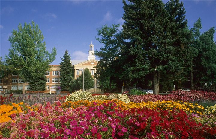 Fly-through of Iconic Colorado State University Campus Spots